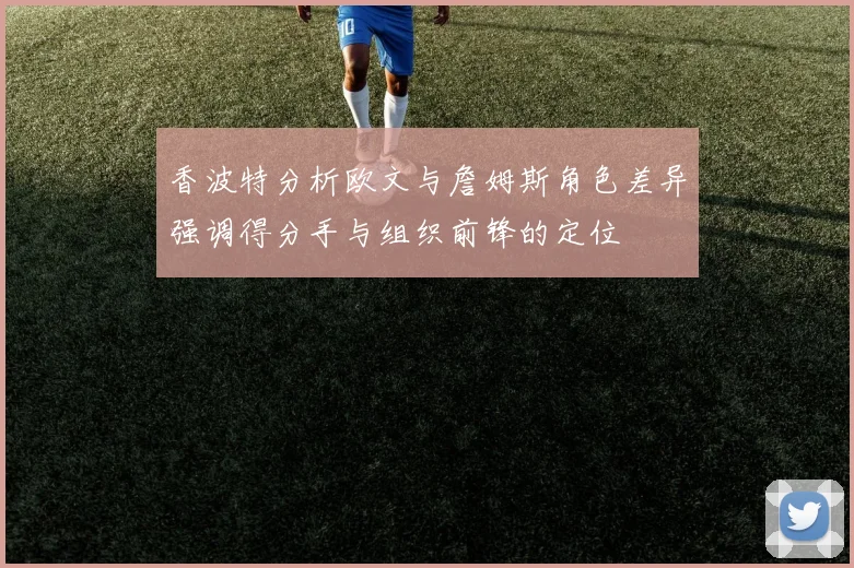 香波特分析欧文与詹姆斯角色差异强调得分手与组织前锋的定位