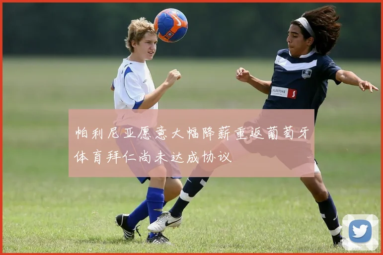 帕利尼亚愿意大幅降薪重返葡萄牙体育拜仁尚未达成协议